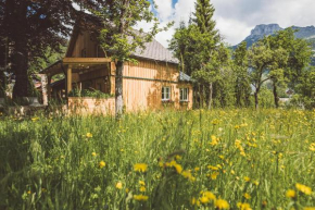 Hotels in Puchen